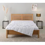 Home Affaire Daunenbettdecke HOME AFFAIRE "Tamins, Bettdecke 135x200 cm, 155x220 cm, Made in Germany", weiß, B:135cm L:200cm, Bezug: 100% Baumwolle. Füllung: 100% Daunen, Bettdecken, Sommer, Winter, Decke, Made in Germany, Allergiker geeignet (NOMITE)