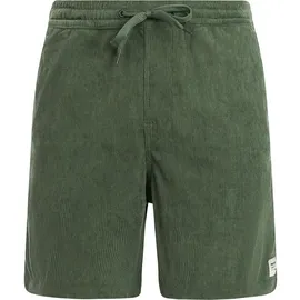 Protest Uleyo Shorts Grün L