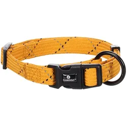 Hundehalsband Welpe Dolly Ocker