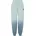 Degrade Jogger Pants Blau 34