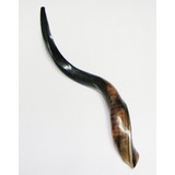 Schofar Shofar Kosher Yemenite Horn Polished Natural Chofar Showfar Jewish Sound Handcrafted Gift instrument koscher Hupe