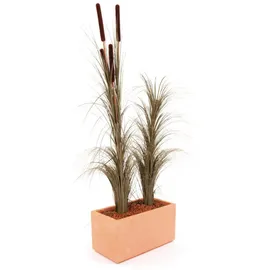 Europalms Schilfgras, khaki, 127cm