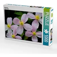 Calvendo Clematis Puzzle
