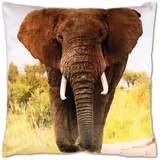 Bestlivings Kissenhülle Fotodruck 2er Pack Elefant 40 x 40 cm