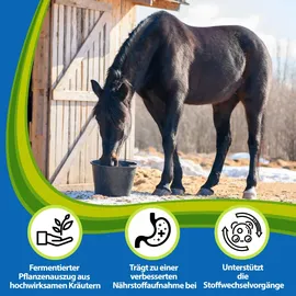 Eggersmann EMH Direkt 1 l