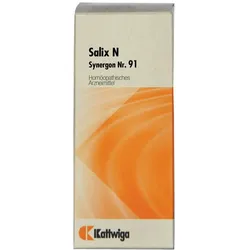 Synergon Komplex 91 Salix N Tropfen 50 ml