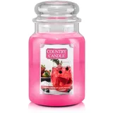 Dragonfruit Lemonade 680g
