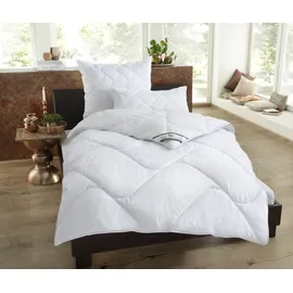fan Microfaserbettdecke FAN "Microfaser kochfest, Bettdecken für Sommer und Winter, Decke", weiß, B:135cm L:200cm, Bezug: 100% Polyester.