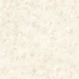 Rasch Textil Papiertapete 53 x 1005 cm 10 m Beige 218015