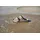 Birkenstock Arizona EVA Gray Taupe 46