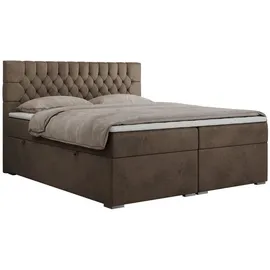 MKS Pera 160 x 200 cm H3 Braun