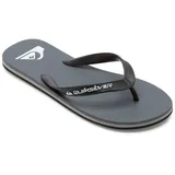 QUIKSILVER Molokai Core Grau 44