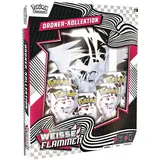 Pokémon Pokémon-Sammelkartenspiel: Ordner-Kollektion Karmesin & Purpur – Weiße Flammen (Reshiram-Ordner & 5 Boosterpacks)