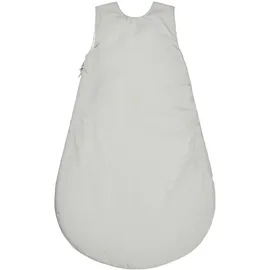Sterntaler Babyschlafsack 62/68 Dino Rexi - Schlafsack leicht wattiert aus weichem Polycotton - mit 2-Wege Reißverschluss & Druckknöpfen an Schulter, graublau