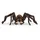Schleich Wizarding World Aragog