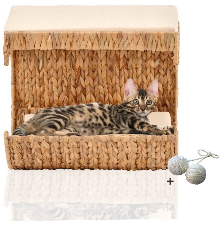 Rohrschneider Katzen-Kletterwand Katzen Liegemulde Kuschelhöhle Liegemulde Wandliege Katze beige