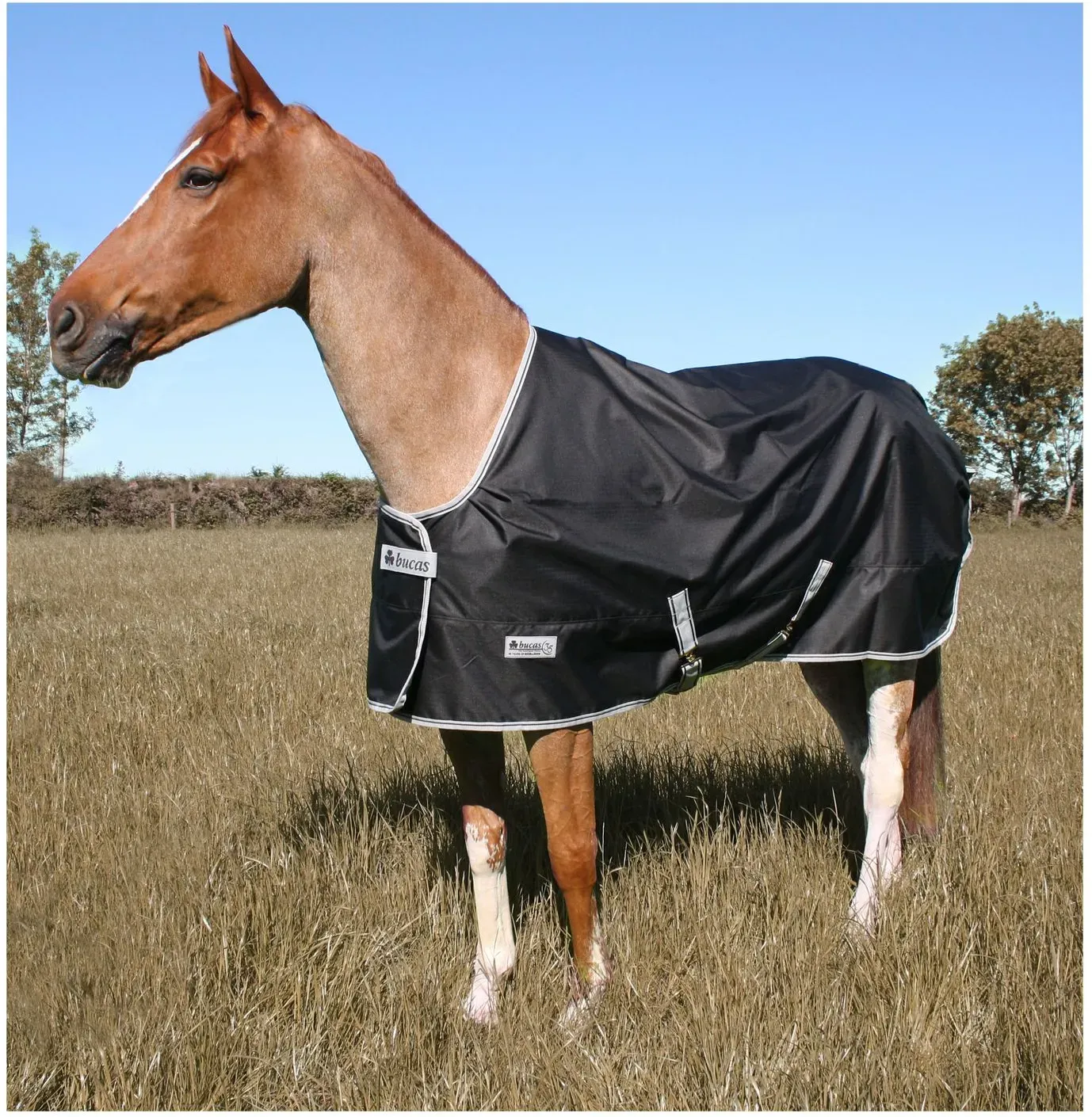 bucas Outdoordecke Anniversary Turnout 150 Stay-Dry black 155 cm