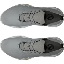 ECCO Golf Biom h5 Herren Golfschuh, Grau - Grau - 44