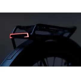Cube Pro-E Gepäckträgerrücklicht