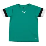 Puma teamRISE Trikot Kinder pepper green/pumablack/white 140
