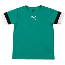 Puma teamRISE Trikot Kinder pepper green/pumablack/white 140