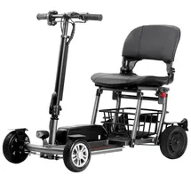 eneway Muvy Elektromobil 4-Rad 6 km/h grau