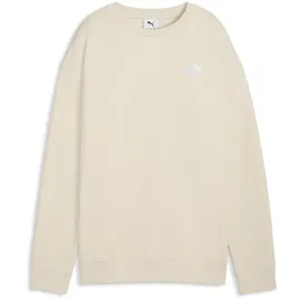 Puma Pullover Sweatshirt Alpine Snow M