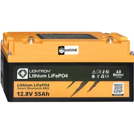 LIONTRON LIO Lithium-Akku 12,8V 55Ah
