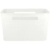 Rotho Brisen 36x26,2x21,1cm 16L