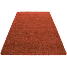 Ayyildiz Life Shaggy 1500 Hochflorteppich 300 x 400 cm terra