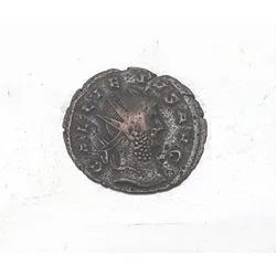 Gallienus gegen die Dreißig Tyrannen
