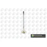 BGA Auslassventil v090101