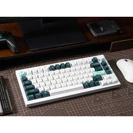 Keychron Q1 HE Kabellose Tastatur RGB Nebula, Switch Knob Version - White, US