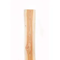 Mega-Holz Holzzaun Zaunlatten-Paket Natura 100cm 10 Stück, (Sparset, 10-St), naturbelassenes Lärchenholz beige