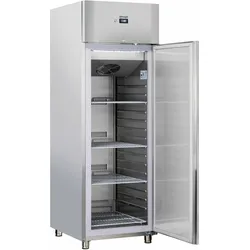 Gefrierschrank 546 L Stahl CAN546L Casselin