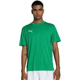 Puma teamGOAL Trikot Herren 05 sport green/white/power green 3XL