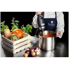 Royal Catering RCSM-500-400P Stabmixer