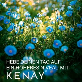 Kenay PEA Palmitoylethanolamid Levagen Kapseln 60 St.
