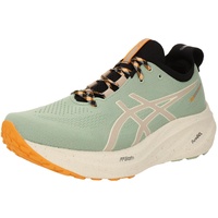 Asics Gel-Nimbus 26 TR (1011B849)