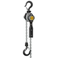 Kettenzug Stahl 3,0 m grau
