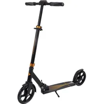Donic Schildkröt Street Master 2.0 Matt Black/Gold
