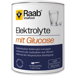 Raab Vitalfood Elektrolyte Mit Glucose Pulver