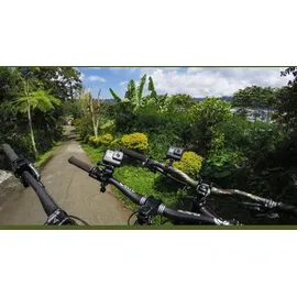 GoPro Handlebar-/Seatpost-/Pole-Mount