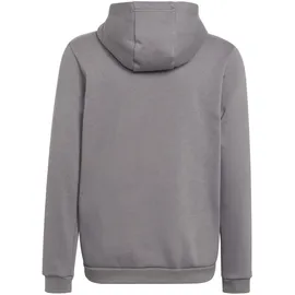 adidas Entrada 22 Hoodie Grau 164
