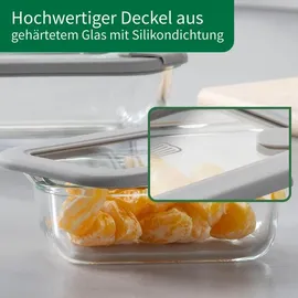 Fackelmann Vorratsdose rechteckig transparent 0,37 l
