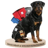 NATURE PET Premium Läufigkeitshose für Hündinnen – Hochwertige & Bequeme Hundewindeln für Hündinnen & Rüden – Waschbare Inkontinenz-Hundewindel ohne Einfädeln der Rute – L-L/Schwarz