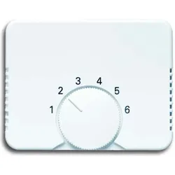 Busch-Jaeger Zentralscheibe stws gl 1794-24G