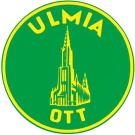 Ulmia GmbH Anschlagwinkel Weißbuche 250 mm