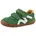 Darkgreen/Yellow