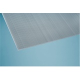 Gutta Polycarbonat-Doppelstegplatte 200 x 105 cm 6 mm klar